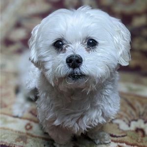 Meet your Posher, Chinwendu